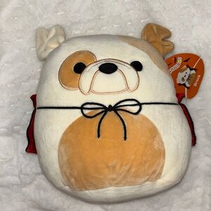 Brock Halloween Vampire Bulldog Squishmallow